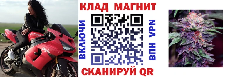 Где купить наркоту Анадырь АМФЕТАМИН  Галлюциногенные грибы  KRAKEN онион  МЕФ 