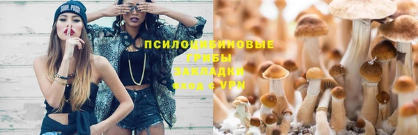 дмт Алексин