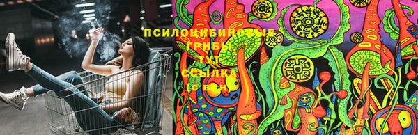 соль курить ск Алексеевка