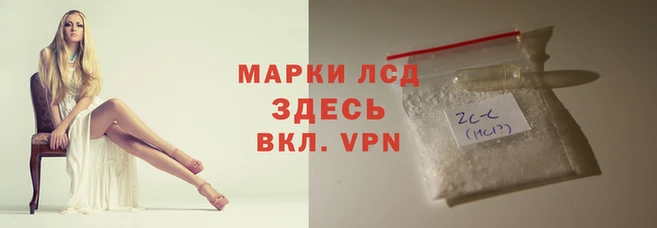 хмурый Алзамай