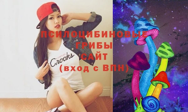 дмт Алексин